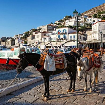 Private Excursion to Hydra Island - The driver touch: private comfort and real problem-solving