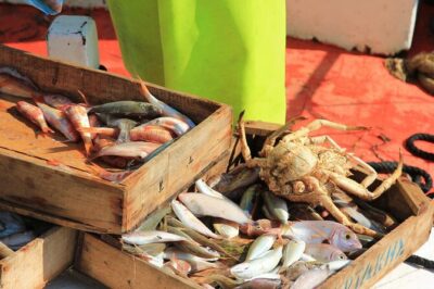 Private Fishing Trip in a Traditional Boat from Athens - Onboard with a professional fisherman: what you’ll actually do