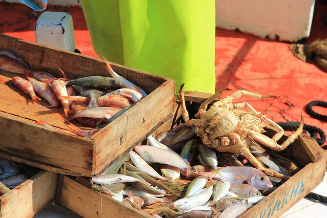 Private Fishing Trip in a Traditional Boat from Athens - Onboard with a professional fisherman: what you’ll actually do