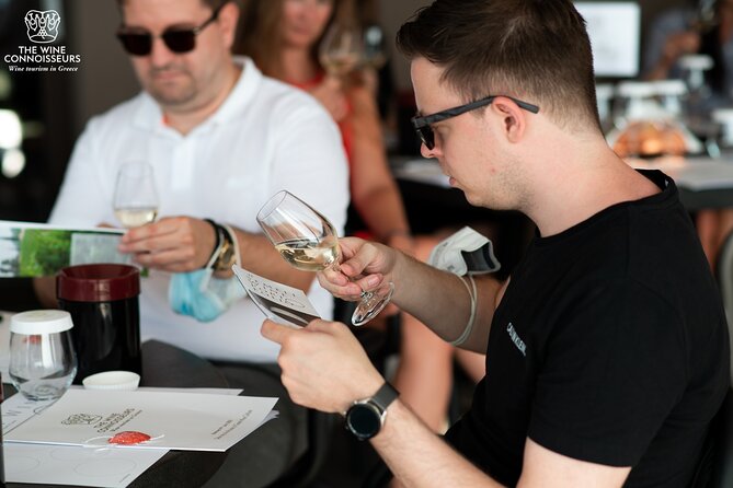 Private Luxury wine tour in Ancient Nemea and vineyards. - The Winery Plan: Two or Three Stops and 5–6 Wines Each