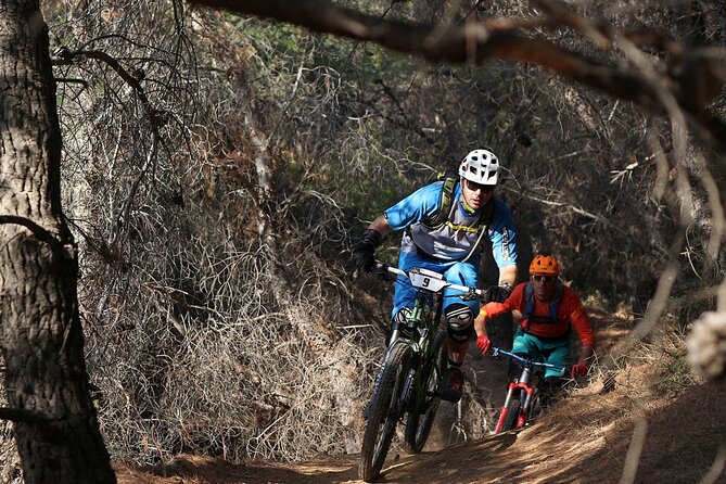 Private Mountain Bike,Trail Ride Tour of Mount Ymittos, Athens. - Picking your level: cross-country to enduro to optional downhill