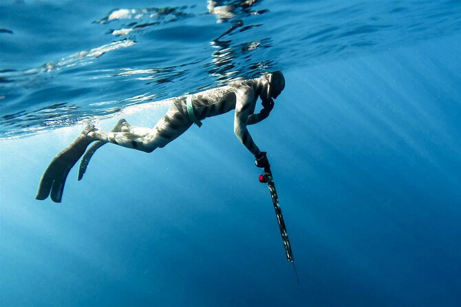 Private Spearfishing Trip From Athens - Private Athens Spearfishing: What You’re Really Signing Up For