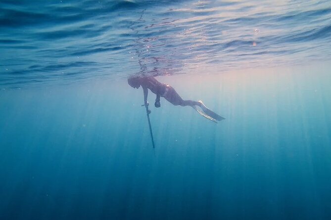 Private Spearfishing Trip From Athens - What’s Included vs Not Included: The Real Budget Picture