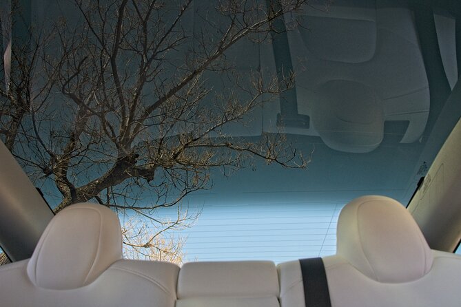 Private Transfer from Athens Airport to Athens City with Tesla - FAQ