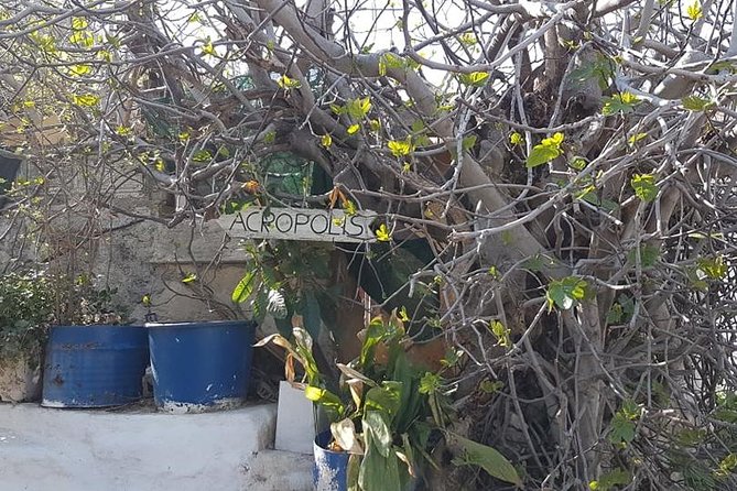 Private walking tour- Enjoy a Sunset Tour in Plaka - Price and value: what you’re paying for at $139.03
