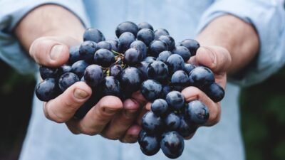 Private Wine Tasting Experience in Athens - Plaka and the downtown wine-bar atmosphere