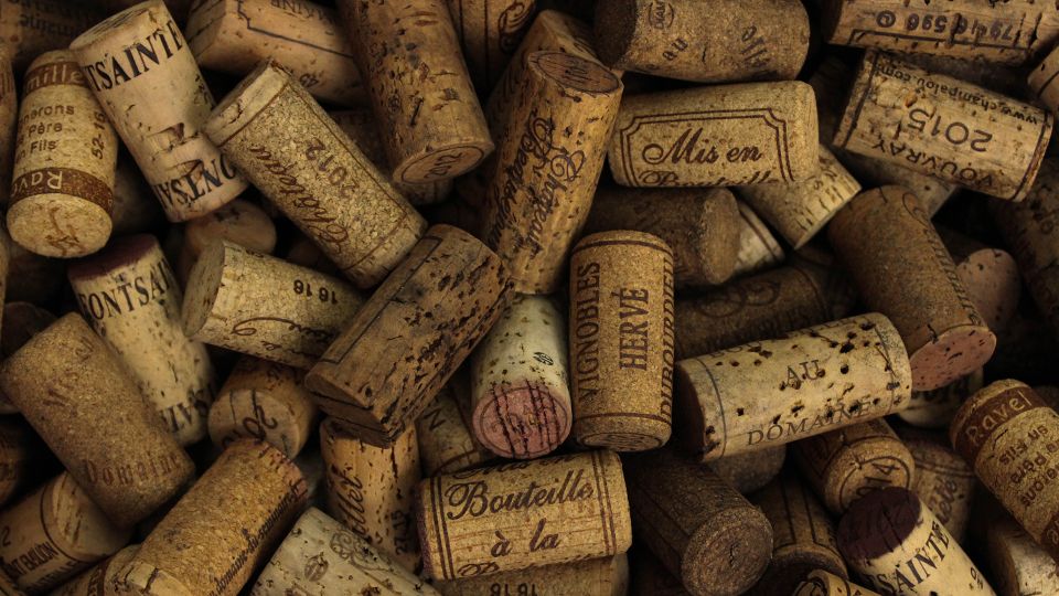 Private Wine Tasting Experience in Athens - Should you book this private wine tasting in Athens?