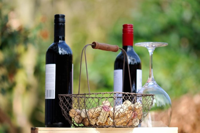 Private Wine Tasting Experience of Greek Awarded Wines at Athens Wine Suburb - KTIMA VASILEIOU at Domaine Vassiliou & Nemeion Estate: indigenous grapes with a 1905 origin