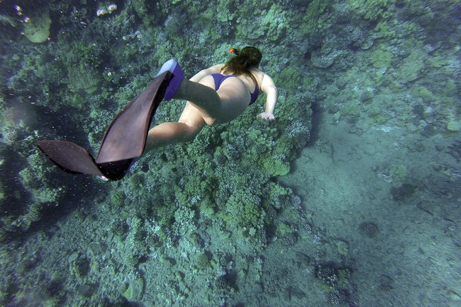 Snorkeling Fun Adventure in Athenian Riviera - What Happens Before You Put on the Mask