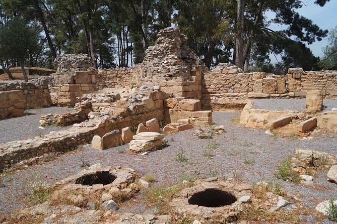Sparta Full Day Tour - Should you book this Sparta full day tour?
