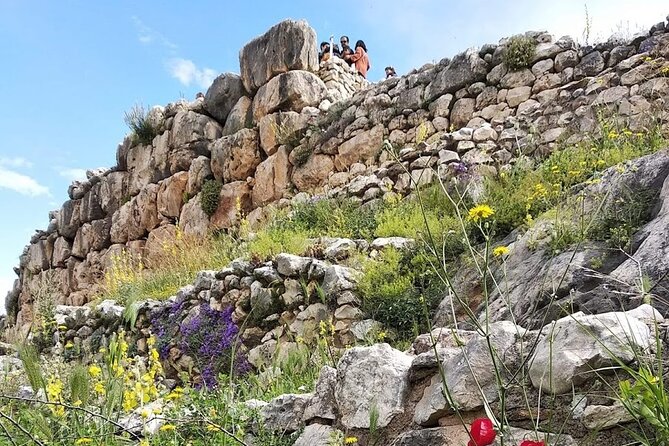 Sparta Tour - Olive Museum: the practical, hands-on side of Peloponnese culture