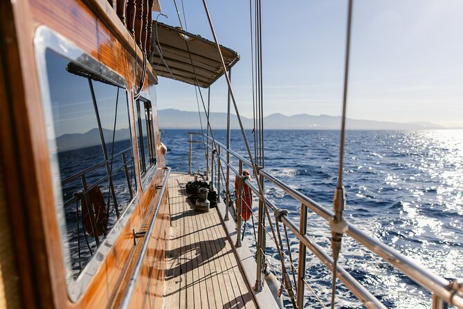 Sunset Dinner Cruise: Sunset, Swim, Drinks, and Dinner Onboard - Snorkeling gear and water noodles: what to do once you get in