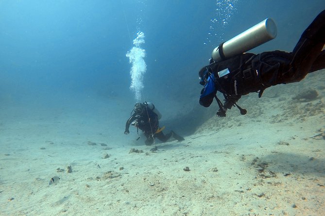 Try scuba dive - Key highlights you’ll care about