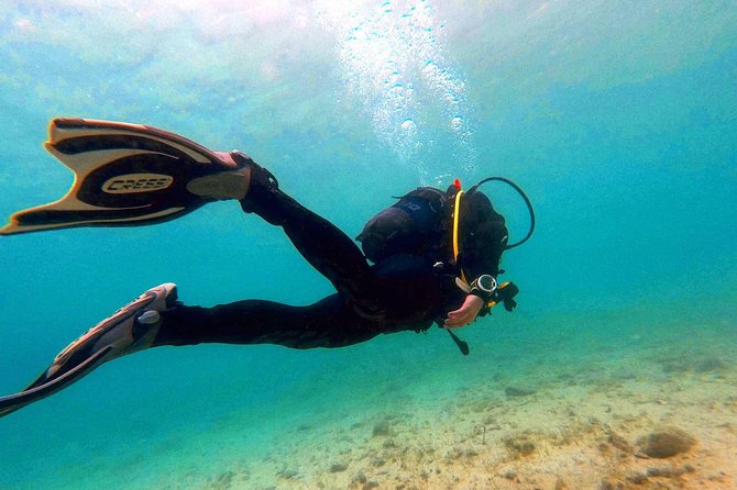 Try scuba dive - The pre-water step: paperwork, theory, and underwater gestures