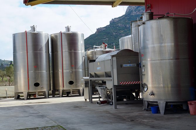 Wine Roads Private Day Tour: Corinth - Ancient Nemea & Wine Tasting - Archaeological Museum of Nemea: Pan-Hellenic Games in plain view