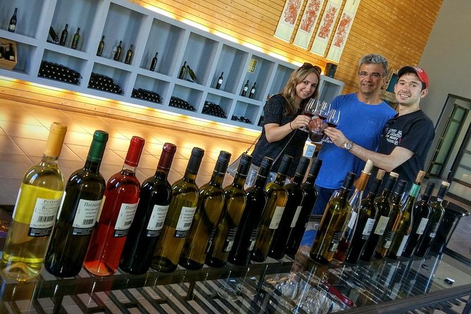 Wine Trails Private Tour/ Nemea visit 3 wineries from Athens or Nafplion (10 h) - Price and Value: What You’re Really Paying For